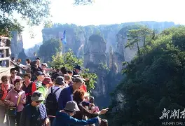 包含韩国血洗里昂，维尼修斯高光表现的词条