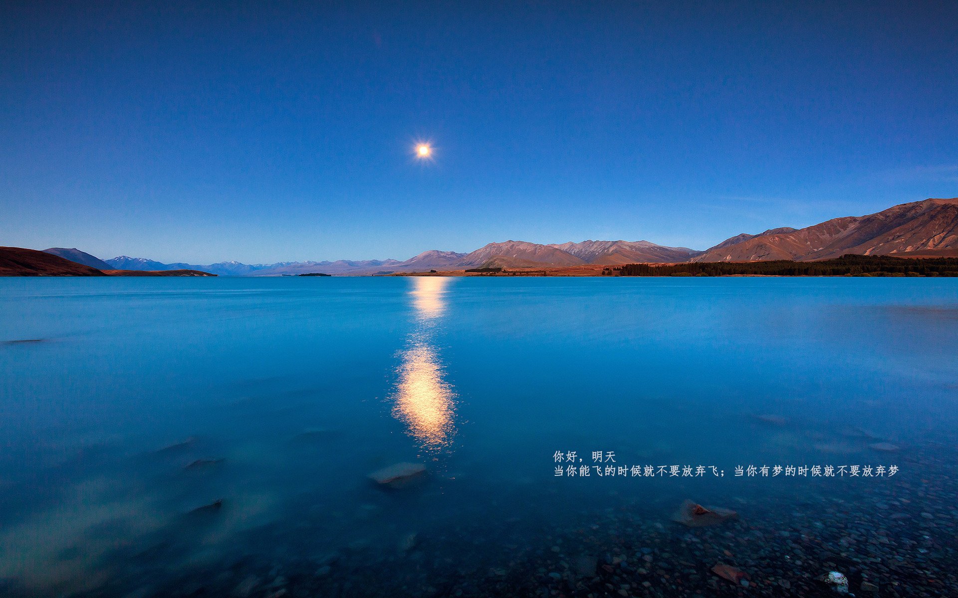 爱游戏tv-惊魂世乒赛，绝境之下，看樊振东如何扛起全队！