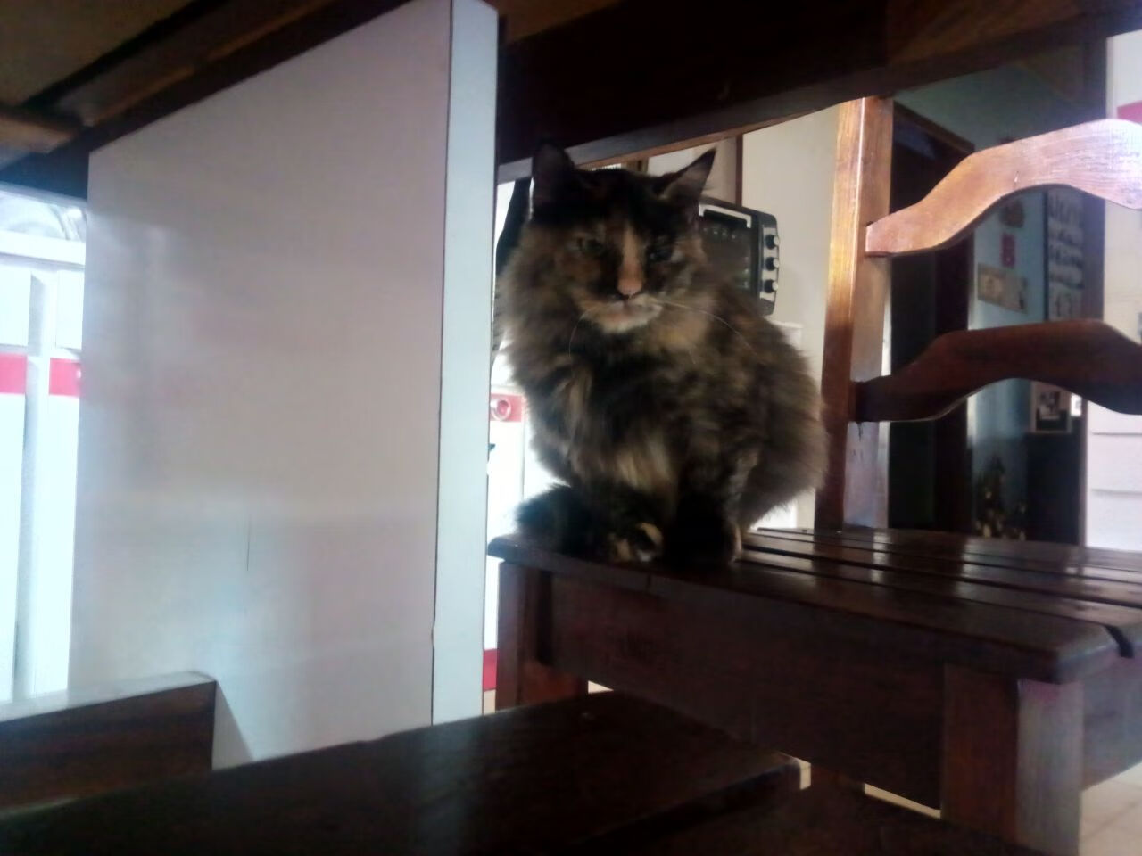 蒙特卡洛启示录，鲁德用大师级征服照亮大满贯伤疤的真正出路