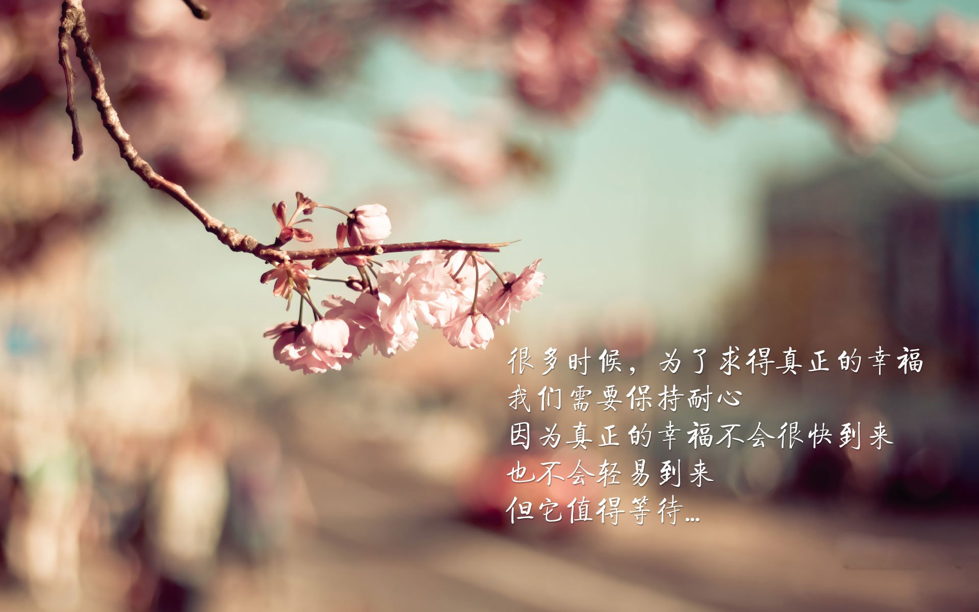 南美风暴席卷巴黎！第三节惊天逆转背后的关键先生