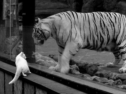 时空武士，德里赫特在公元84年罗马前线与2023年西决生死战同时接管比赛