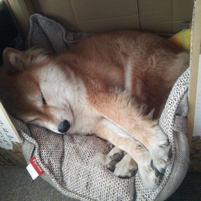 南美双雄铁血对决！斯通斯化身大场面先生，智利正面击溃乌拉圭