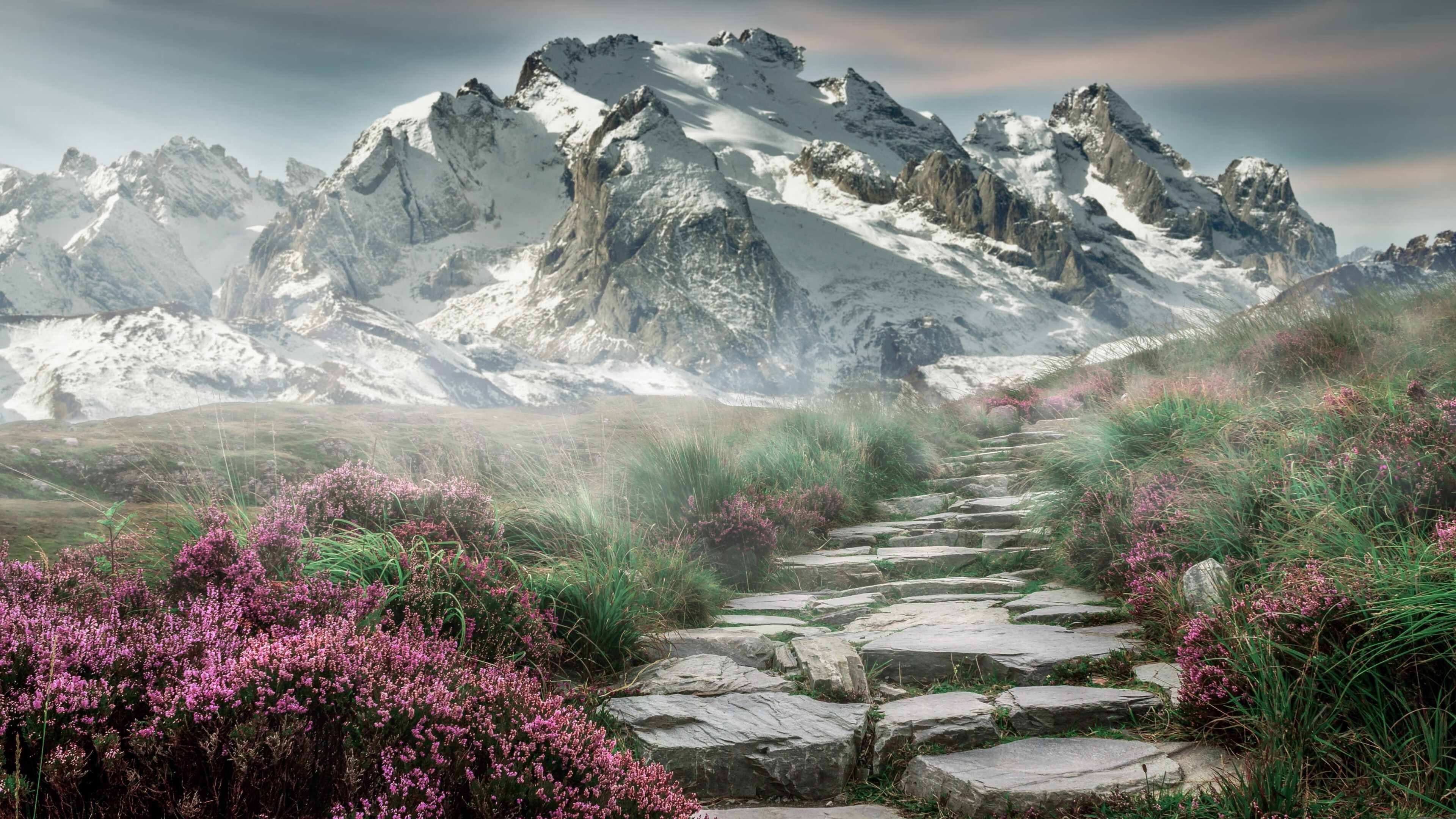 篮网对阵浙江队，当锡安的神力遇见东方的太极