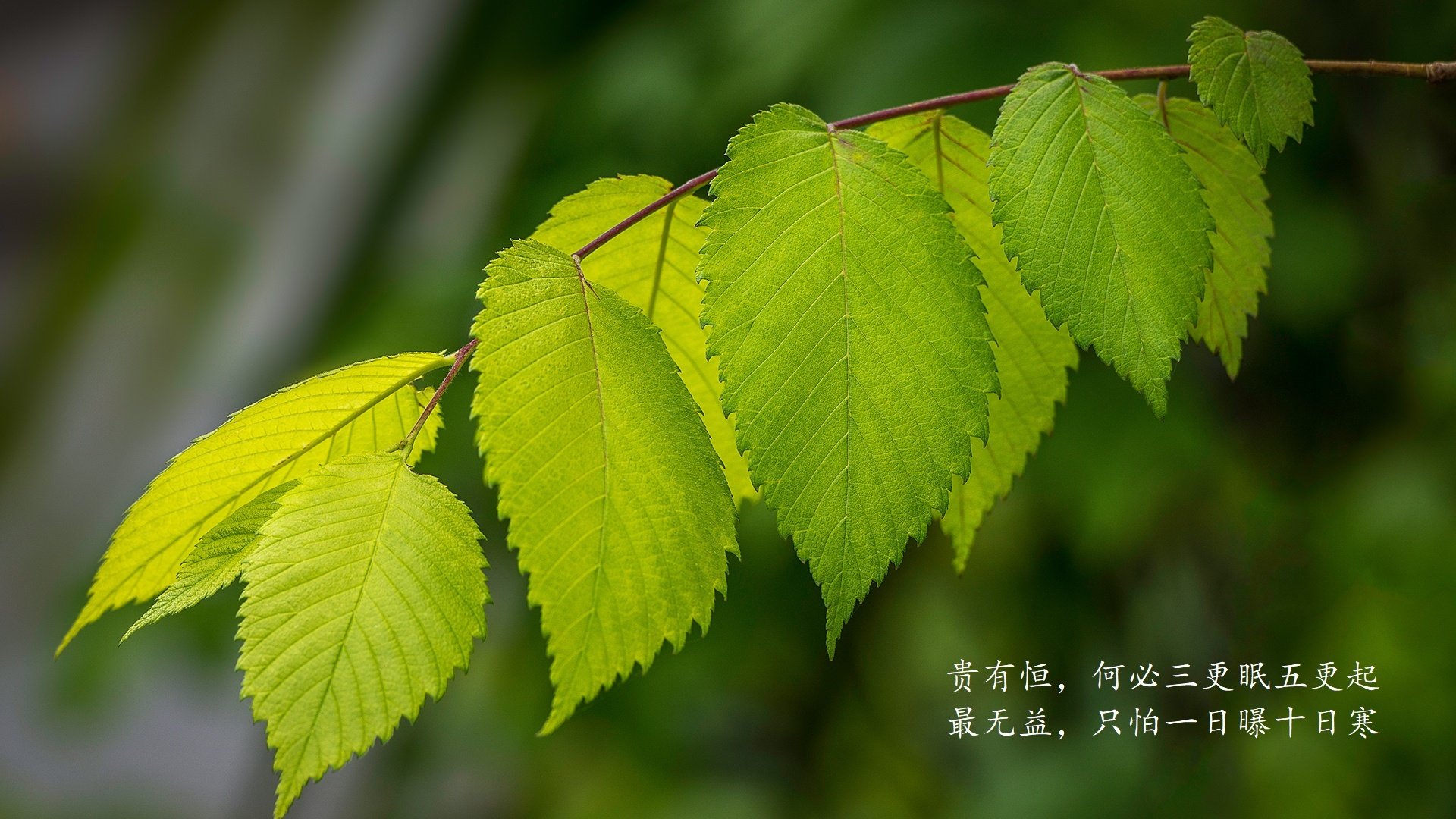 恒河逆流，2026世界杯G组焦点战，印度三球逆转英格兰，德容冷血统治中场，钢铁防线铸就历史之夜