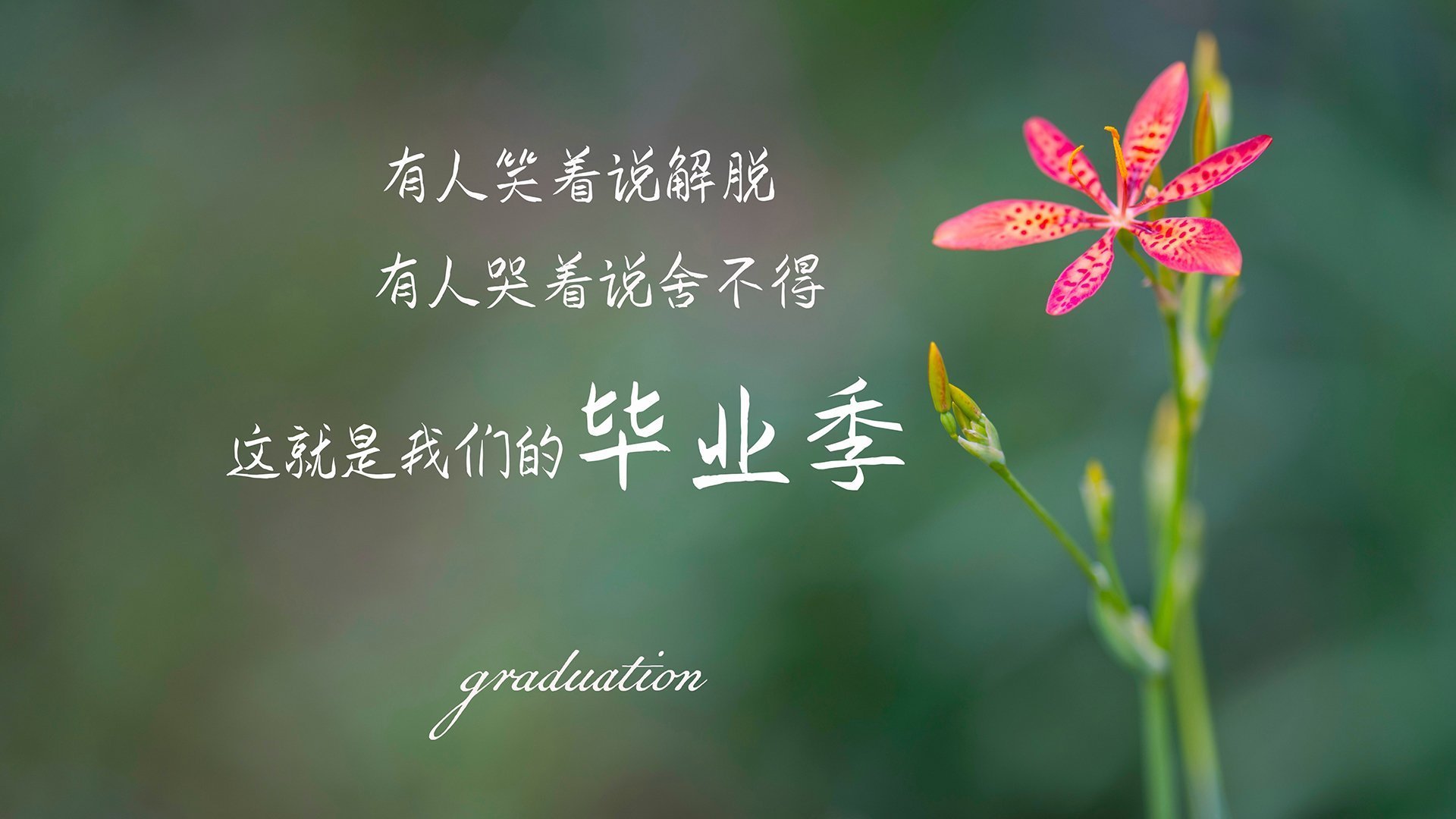 节奏的独白，2026世界杯D组关键战，厄瓜多尔如何用压制旋律击碎葡萄牙的航海梦，齐耶赫的掌控者叙事