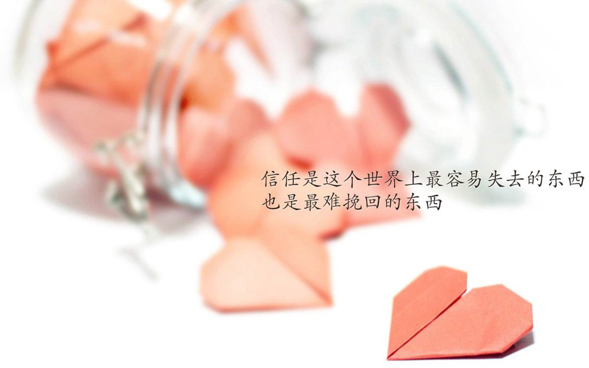 绝杀之夜,穆西亚拉照亮2026世界杯C组生死战