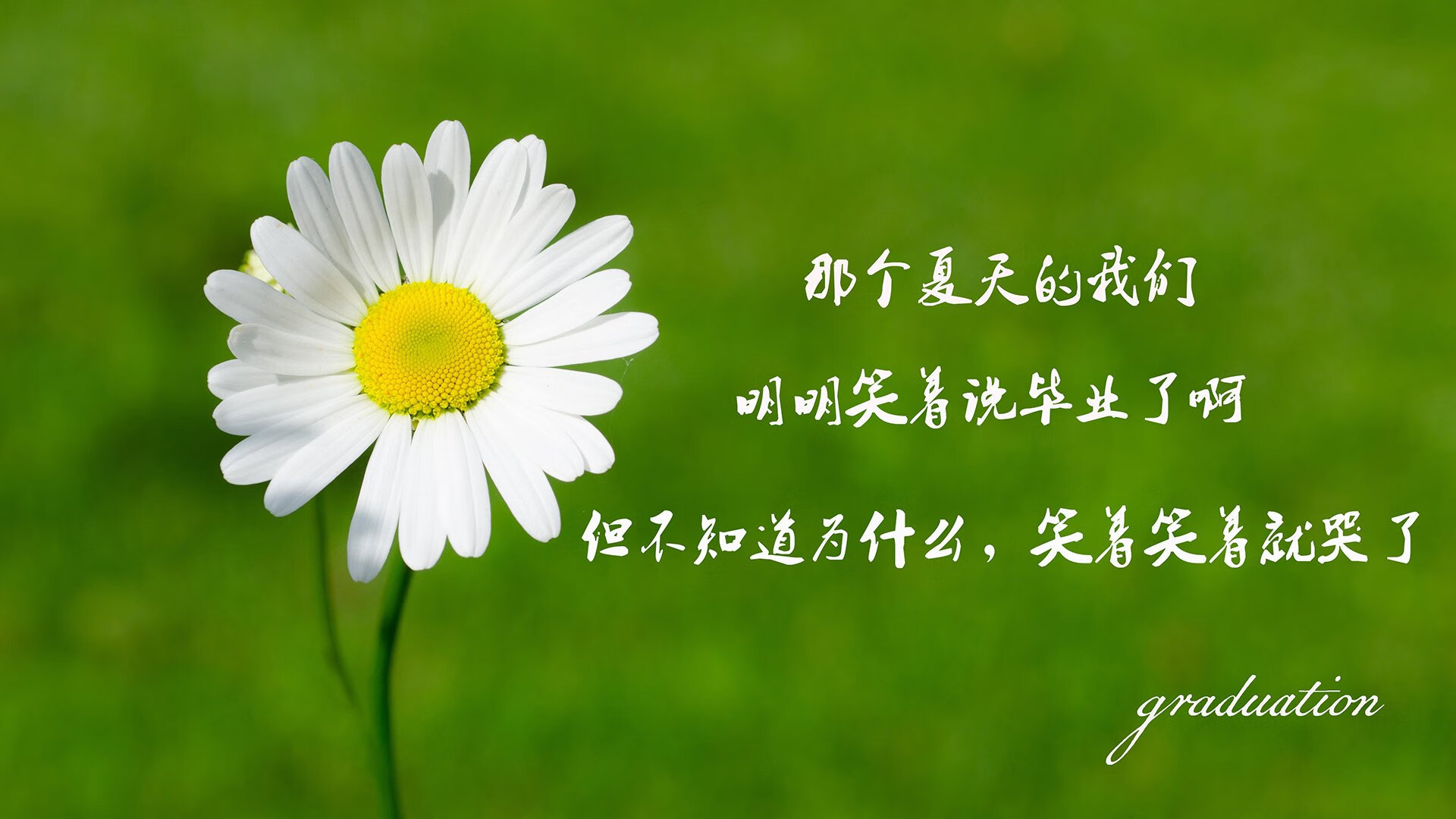 冰火风暴，2026世界杯淘汰赛，北欧神话逆转袋鼠军团，C罗致命一击点燃绝境